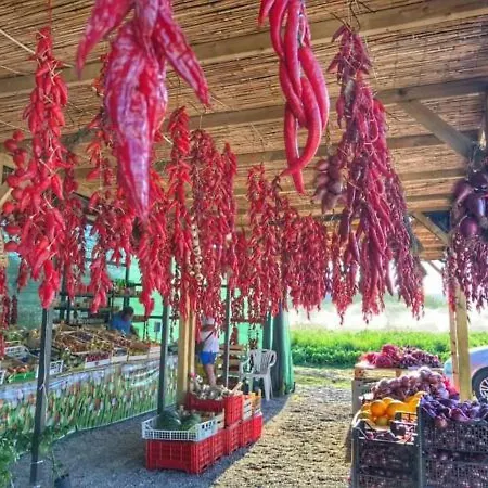 Sweet 3* San Ferdinando